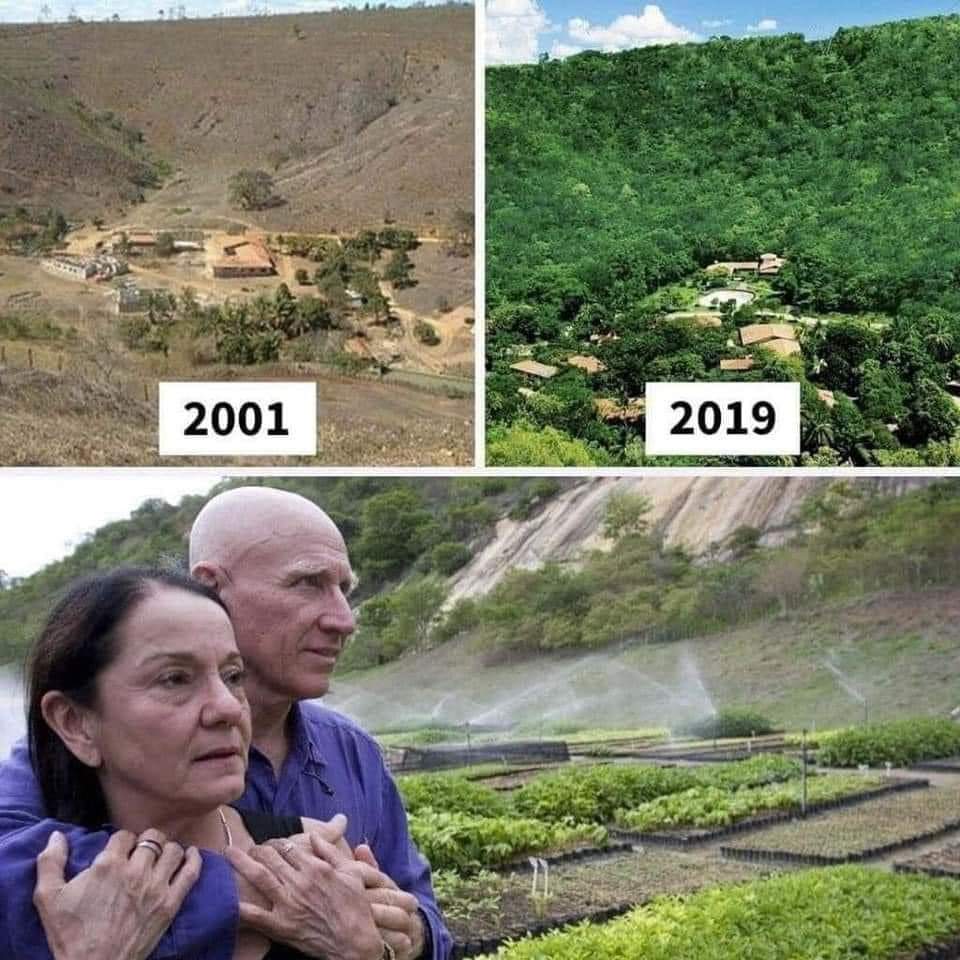 गजब 🙏 ब्राजील में एक जोड़े ने जंगल को फिर से बनाने के लिए 20 वर्षों में 20 लाख पेड़ लगाए। उनकी कहानियाँ वास्तव में प्रेरणादायक हैं 🥰 जोहार सैल्यूट दोनों महामानव को 🫡🏹❤️🙏