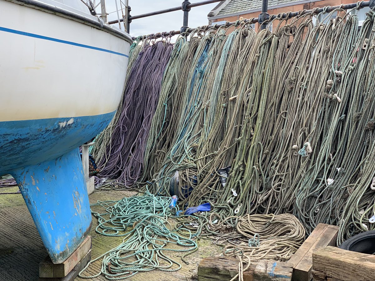 A row of #ropes in #colours varied 
Along the #harbour wall
Drying under the #EastLothian sun
Before they return to the to the trawl
#fishing #tools @fooddrinkcounty @LothianLoop @FishmongersCo