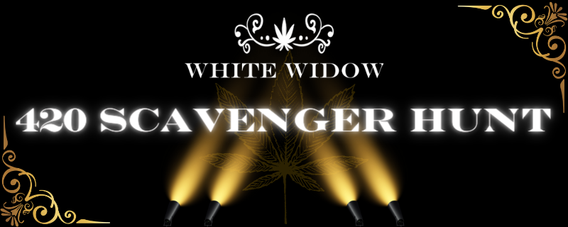 AllusiveRp's tweet photo. What's on the calendar for this weekend?
Last night:
- Elite & PDM drop some new hot whips! 🚗
- VU's "Emo Isn't Dead" event was amazing! 🔥
This weekend:
- White Widow's 420 Scavenger Hunt @ 5PM EST 💨
- Hen House's King of the Ring Week 2 @ 8PM EST 🥊

Hope to see you there! - https://t.co/PMhWA1fGWs
.
.
.
.
.
.
.
.
#GTA5 #GTA #GTARP #GTA5RP #ROLEPLAY #RP #GTA5ROLEPLAY #community #FIVEM #CFX #GTA6 #GTAOnline #GTAVI #