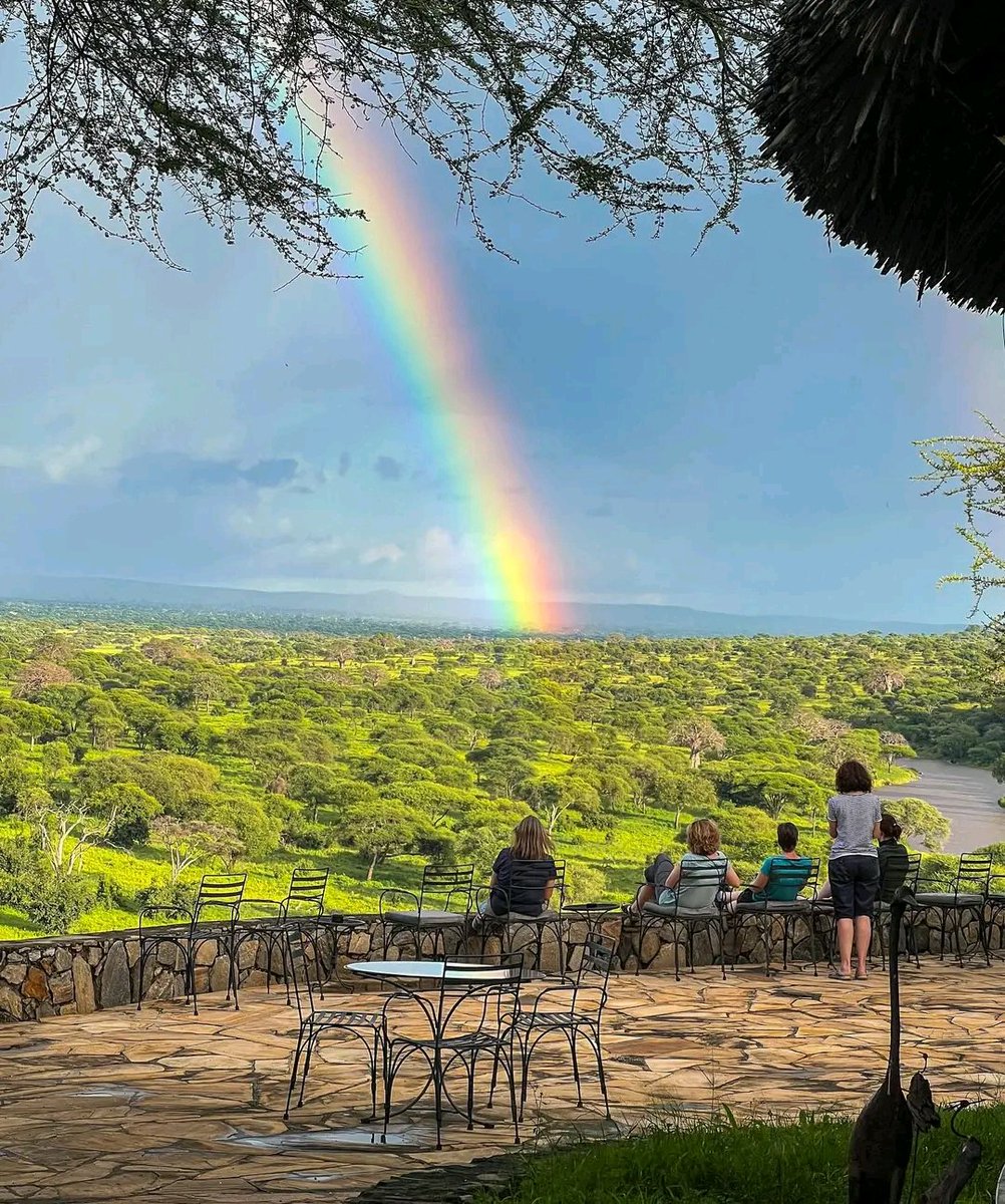 Time to enjoy what the evening has to offer 
.
.
#tarangire #saferi #tanzania #holiday #vacation #safarilodges #familyowned #awsomeview