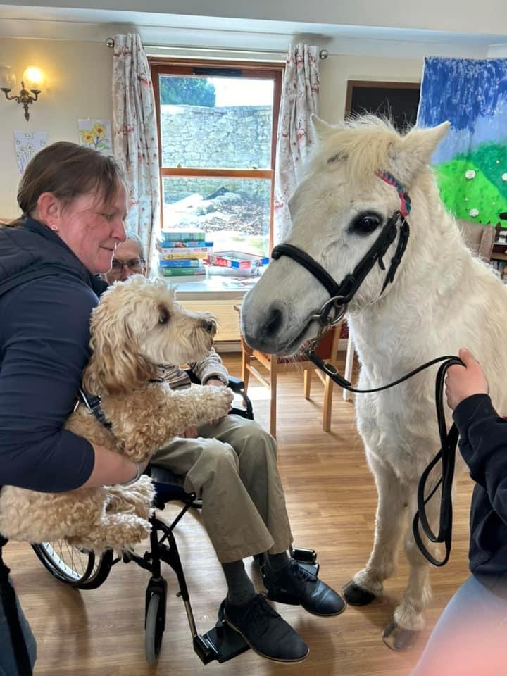 Wendy Mead (@wendymgcc) on Twitter photo A great day today with a meeting between two absolute legends #pets #carehomesuk #pony #dogs <a href="/ForestHealthLtd/">Forest Healthcare</a> A great day today with a meeting between two absolute legends #pets #carehomesuk #pony #dogs <a href="/ForestHealthLtd/">Forest Healthcare</a>