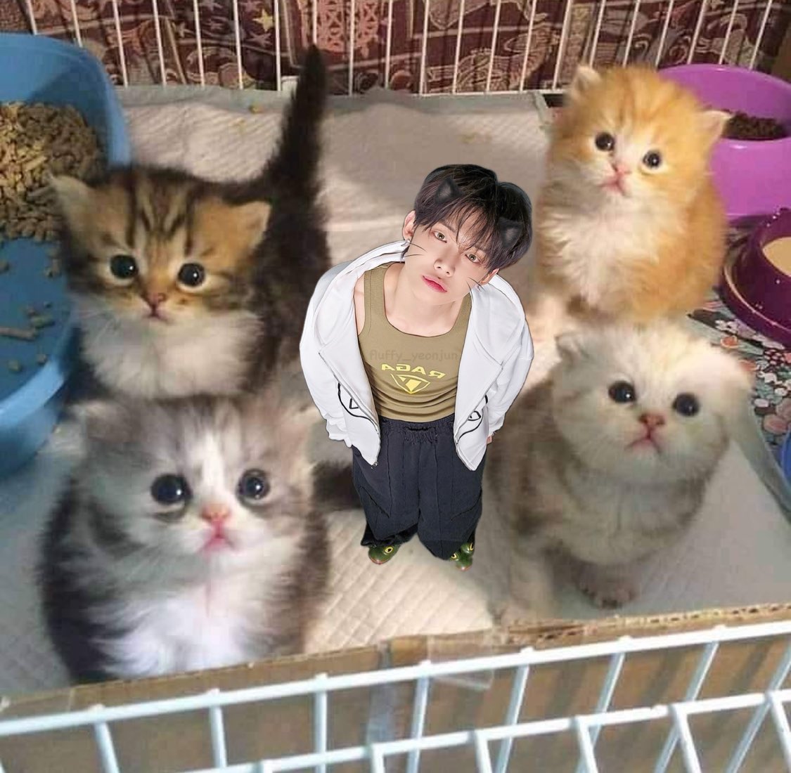 fluffy_Yeonjun's tweet photo. 🐱❓ https://t.co/AbZDRI7kOP