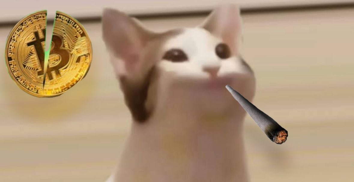 Akamaigoat's tweet photo. Did someone say its #pop20 today?? $popcat
@popcatmemepage https://t.co/dC9B4kslxQ
