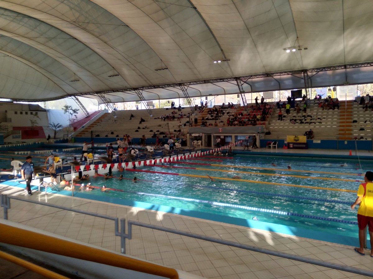 BetsyCorteganaS's tweet photo. Tener un hijo deportista, de alto rendimiento, implica dejar tus planes de fds para apoyarlo con todo, saber que entras a las 7h y que no hay horario de salida, que te vea disfrutar cada segundo, aplaudir, gritar, saltar, marcarán su alma y el rumbo de su vida.😊 #natación
#fdpn https://t.co/wULKgELtd6