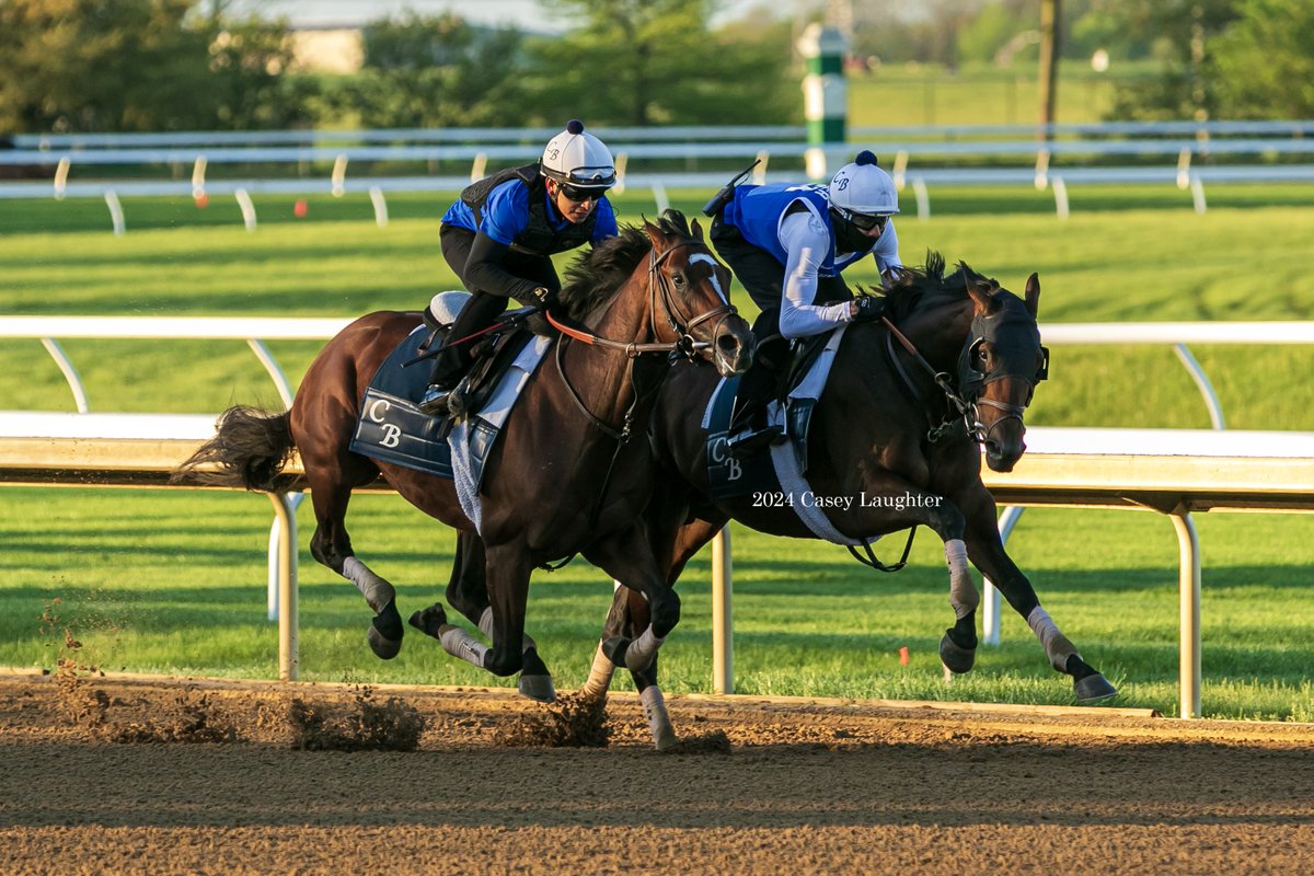 Sierra Leone (inside) works with recent maiden winner White Palomino (outside) as a final work at Keeneland before shipping to Churchill to continue preparations for the 150th Kentucky Derby, which is 2 weeks away.