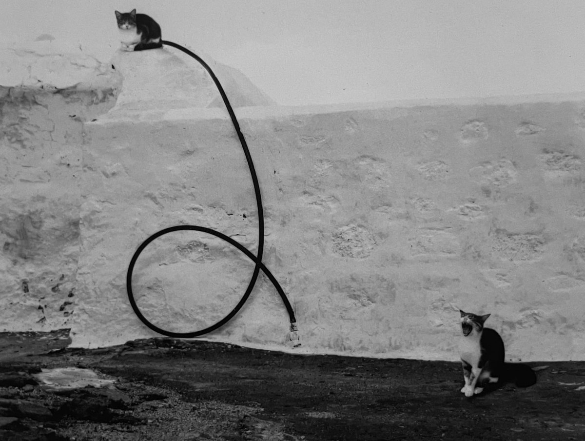 Pentti Sammallahti. Helsinki, 2010.