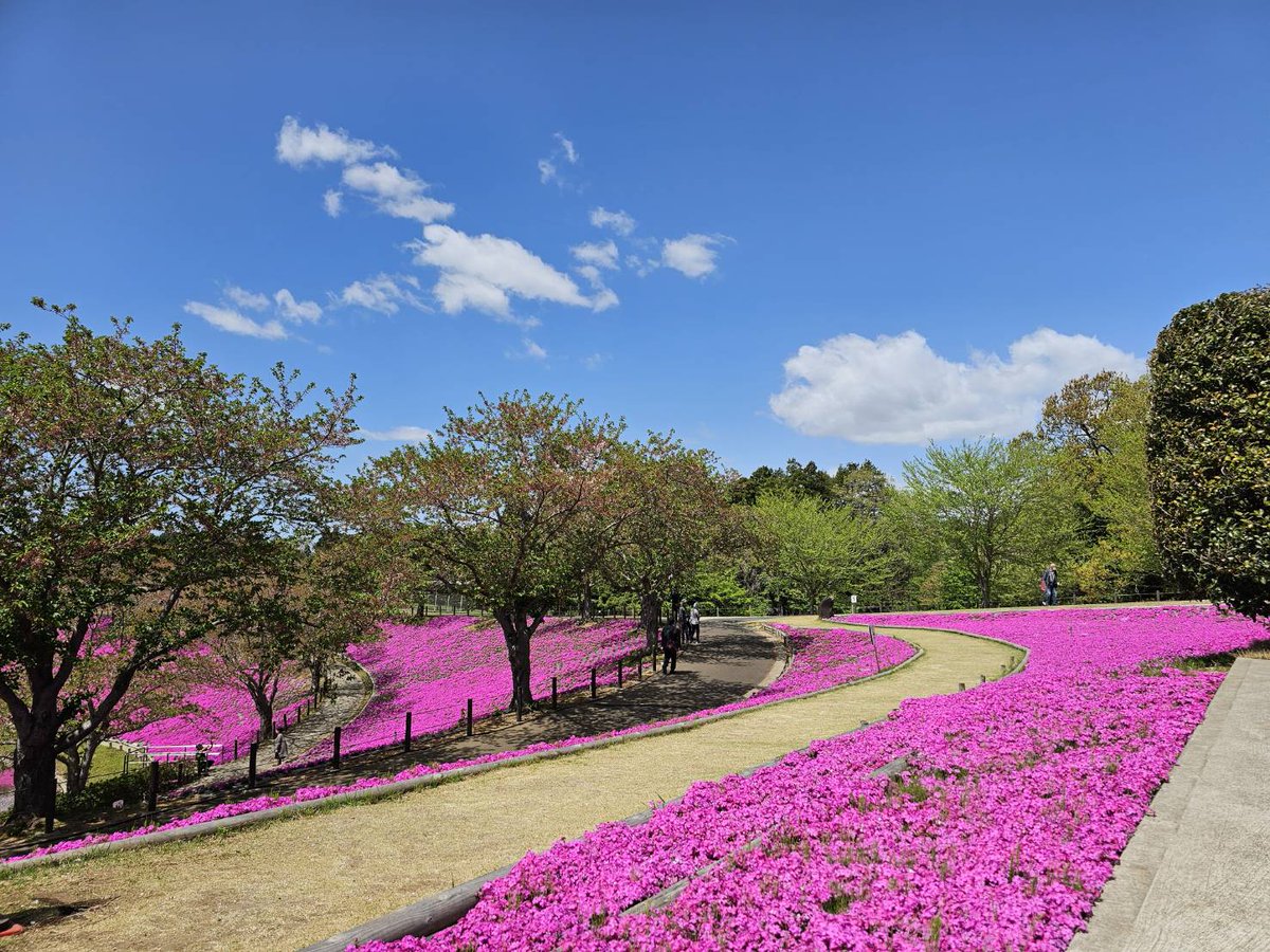 แวะมาเที่ยวจังหวัดอิบารากิที่ Ushiku Daibutsu ตามรอยแอมบาสเดอร์คนสวย #MioriBNK48 ช่วงนี้ชิบะซากุระออกดอกแล้ว และดอกไม้ในสวนกำลังจะตามมาอีกเพียบเลยค่ะ ❤️

#อิบารากิสายมู 
#นิปปอนฮาคุพาเที่ยวญี่ปุ่น