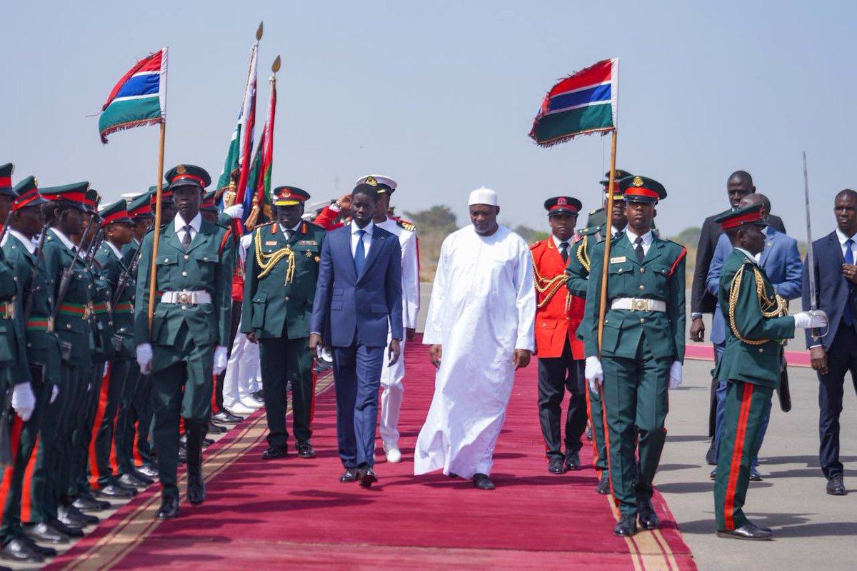 PR_Senegal's tweet photo. En visite de travail en Gambie,le Président @PR_Diomaye a été très bien accueilli à son arrivée par son homologue, @BarrowPresident, avec les honneurs militaires. Le chef de l’État aura un tête-à-tête avec son hôte au State House sur la coopération bilatérale entre les deux pays. https://t.co/9Cj2XFEWhi