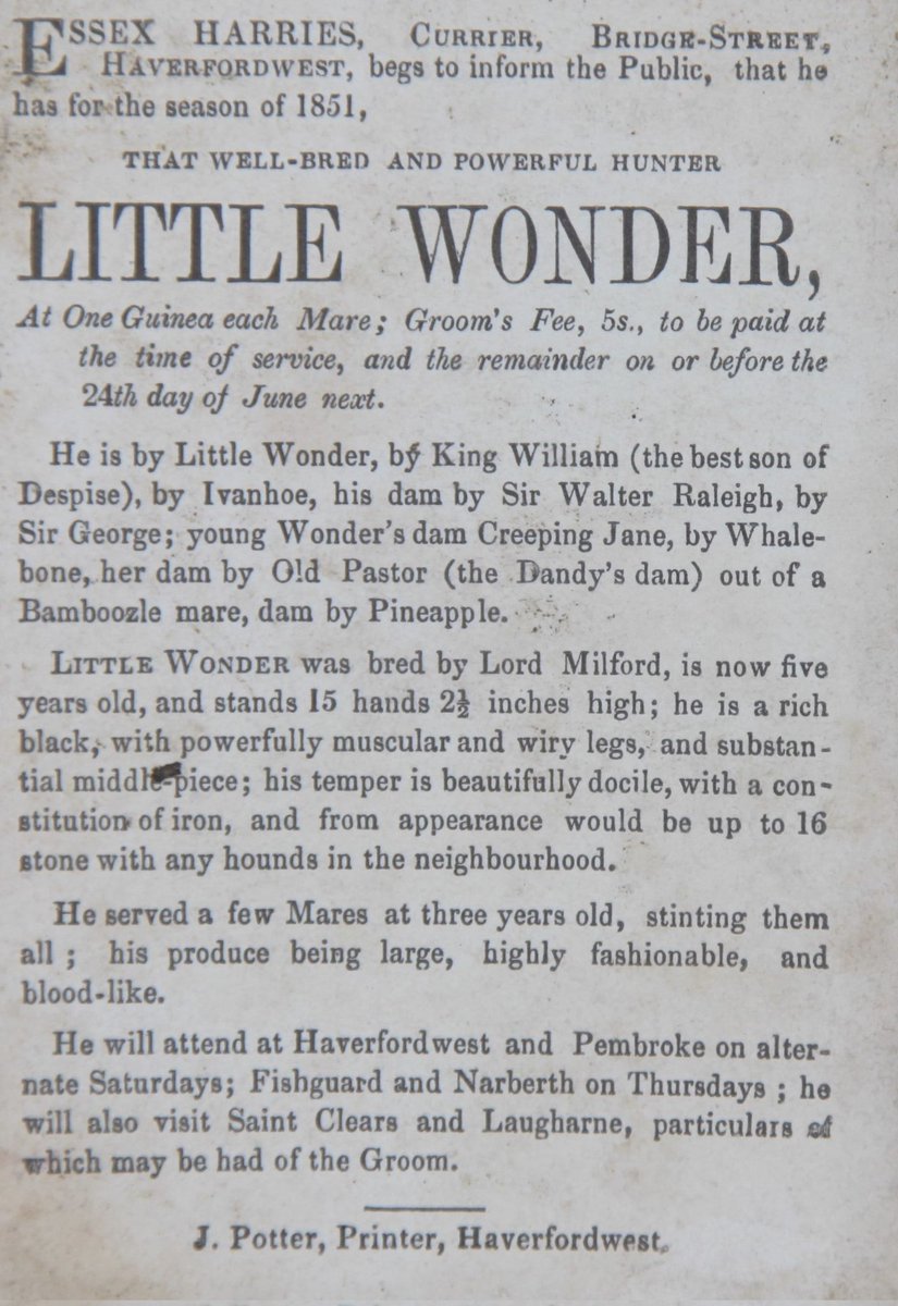 Dyma gerdyn printiedig yn hysbysebu’r ceffyl pum mlwydd oed, Little Wonder, a fagwyd gan yr Arglwydd Milford, a oedd ar gael at ddibenion gre ym 1851. 🐴 HDX/648/4 #SomethingSmall #Archive30