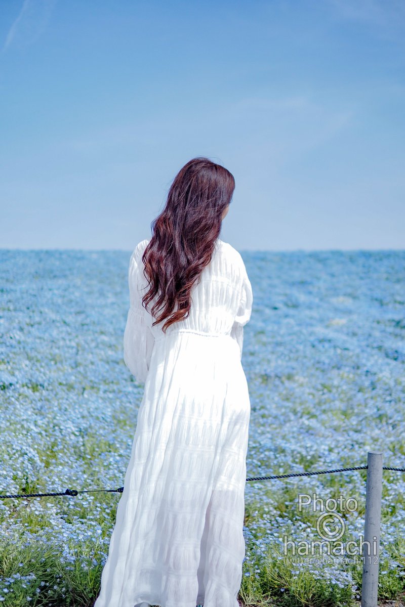 はまち!🐟写メ日記カメラマン tweet media