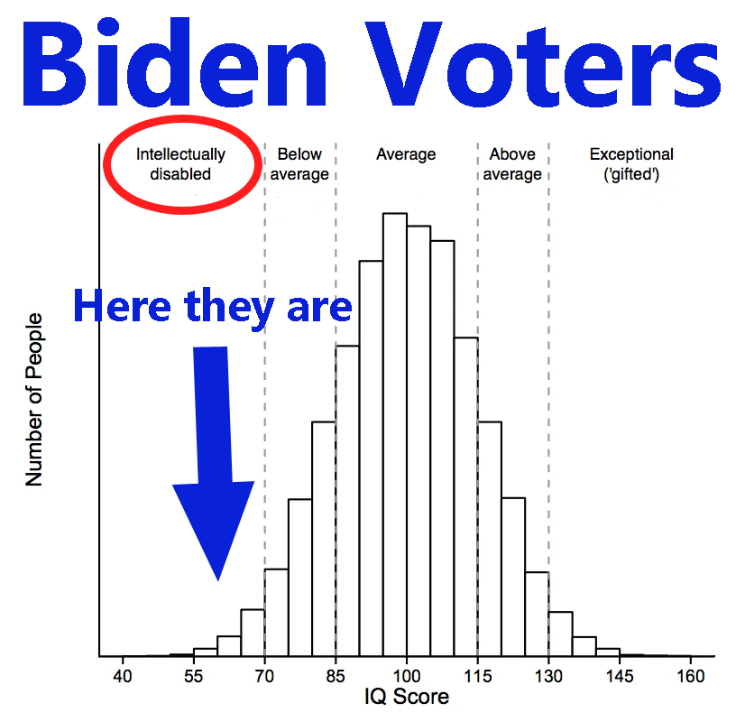 MAGA_MELISSA_69's tweet photo. New study alert! 📊 The latest scientific poll on Biden voters is in, shedding light on their intellectual disabilities. #ElectionResearch #Polling #LiberalismIsAMentalDisorder https://t.co/3Zp6o4hM3i