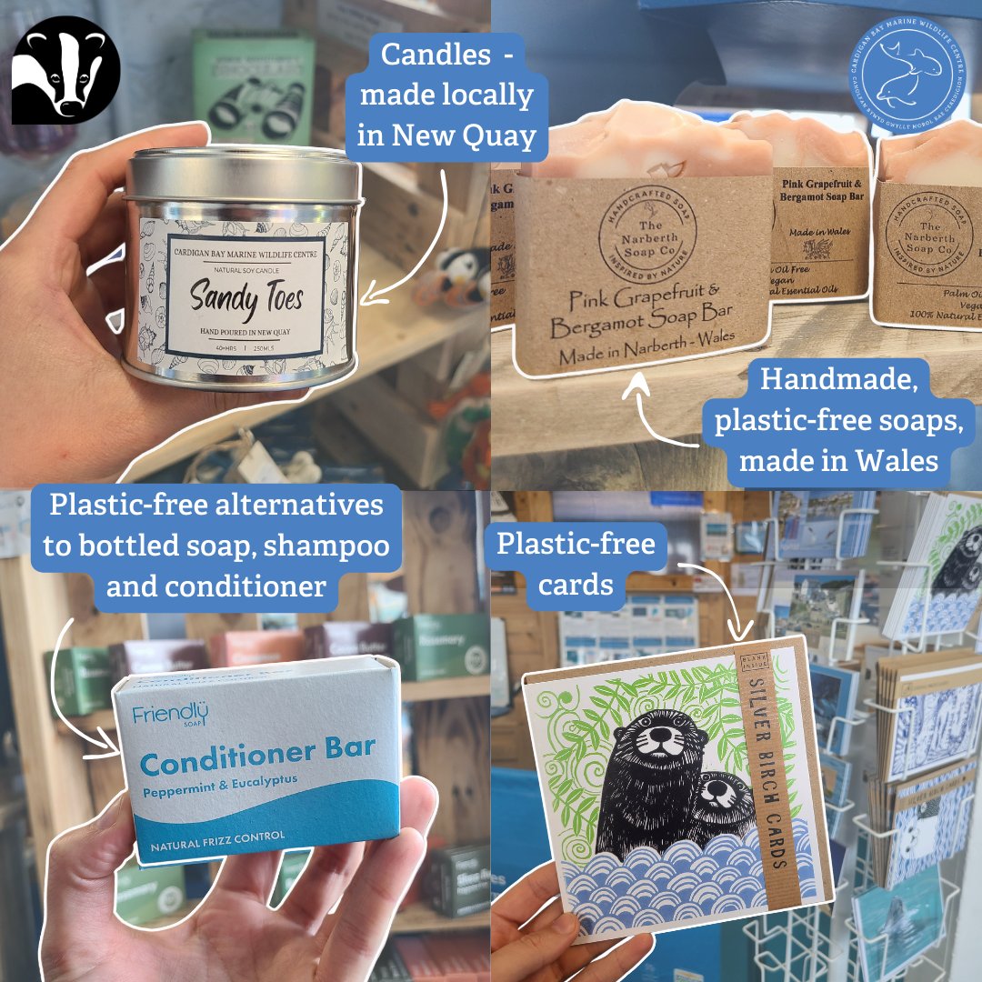 Happy Earth Day! 🌍 As an environmental charity we aim to reduce our environmental footprint in many ways, including the products we stock in our gift shop ♻️ Come along to our Visitor Centre and gift shop in New Quay to support our #MarineConservation work! @WTSWW @WTWales