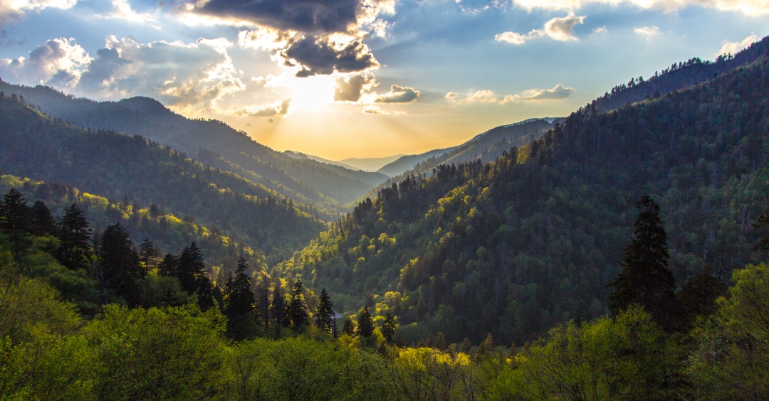 Y’all gotta hit the trails in @GreatSmokyNPS to really experience some of the most beautiful flora NC has to offer. #makeityournature to stick to those trails to help maintain the wildlife and vegetation so those blooms can keep blossoming. #NationalParksWeek @NatlParkService