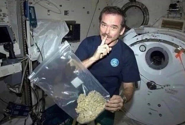 Nothing is illegal in space.