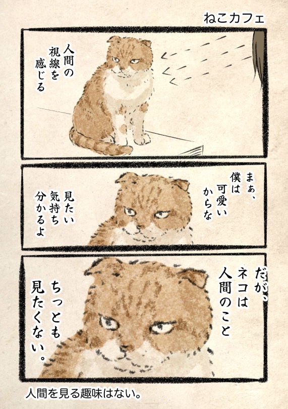 ネコ様　オーダーページ ネコ様日記01