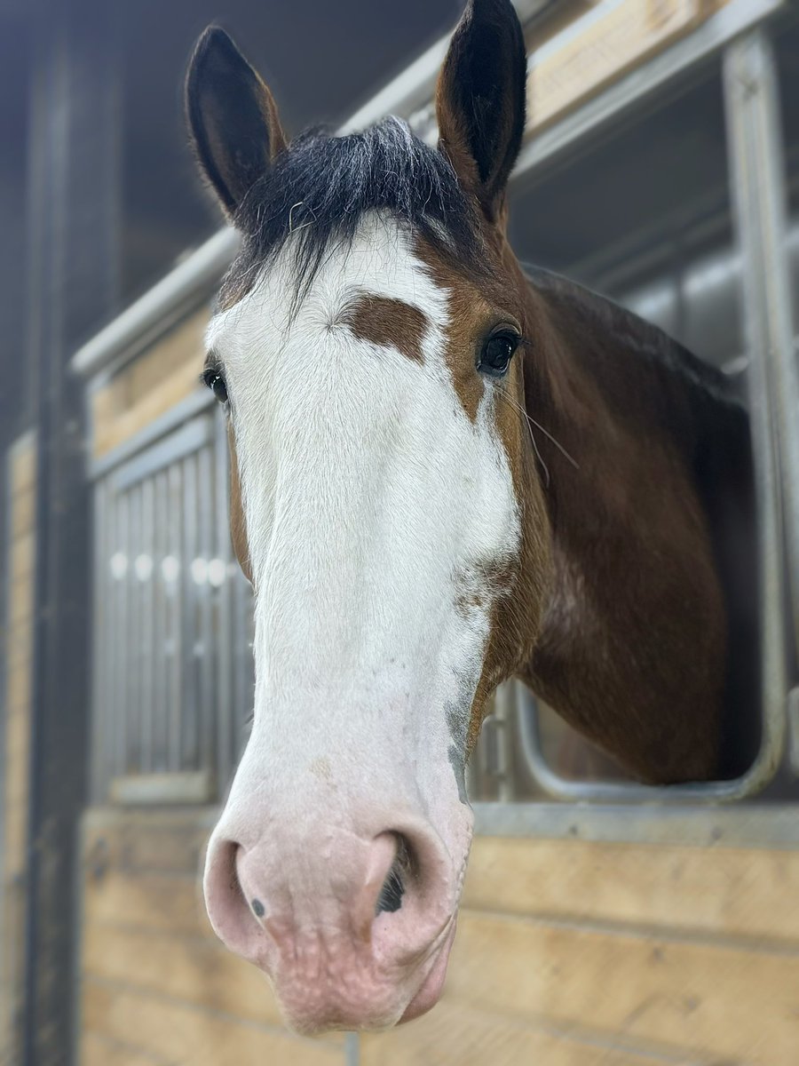 Thinking of all of Jeff’s, friends, teammates, community colleagues, work family and his immediate family today as we await the outcome of the trial. #herosinlife #LODD #PHNorthrup