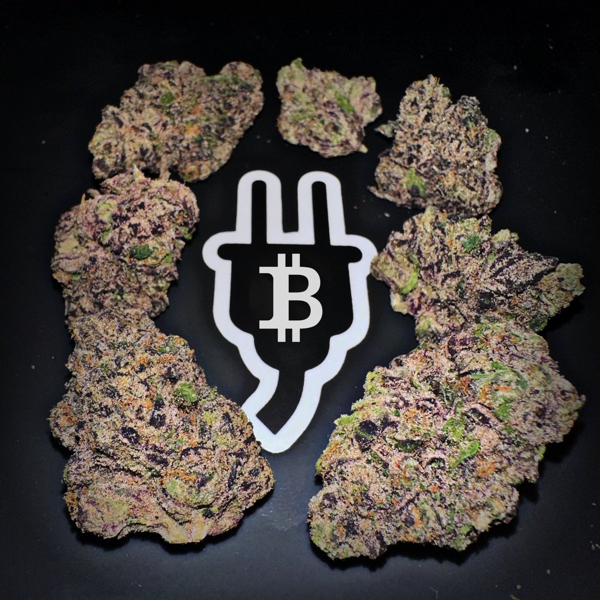 GM 💨 💨💨💨💨💨

Pre-rolled #Airdrop incoming…

✅ Drop your <a href="/adahandle/">$handle</a> 🎁 
✅ Repost this post ♻️

Do you even smoke? 🤔

#BitcoinHalving #420day #Bitcoin