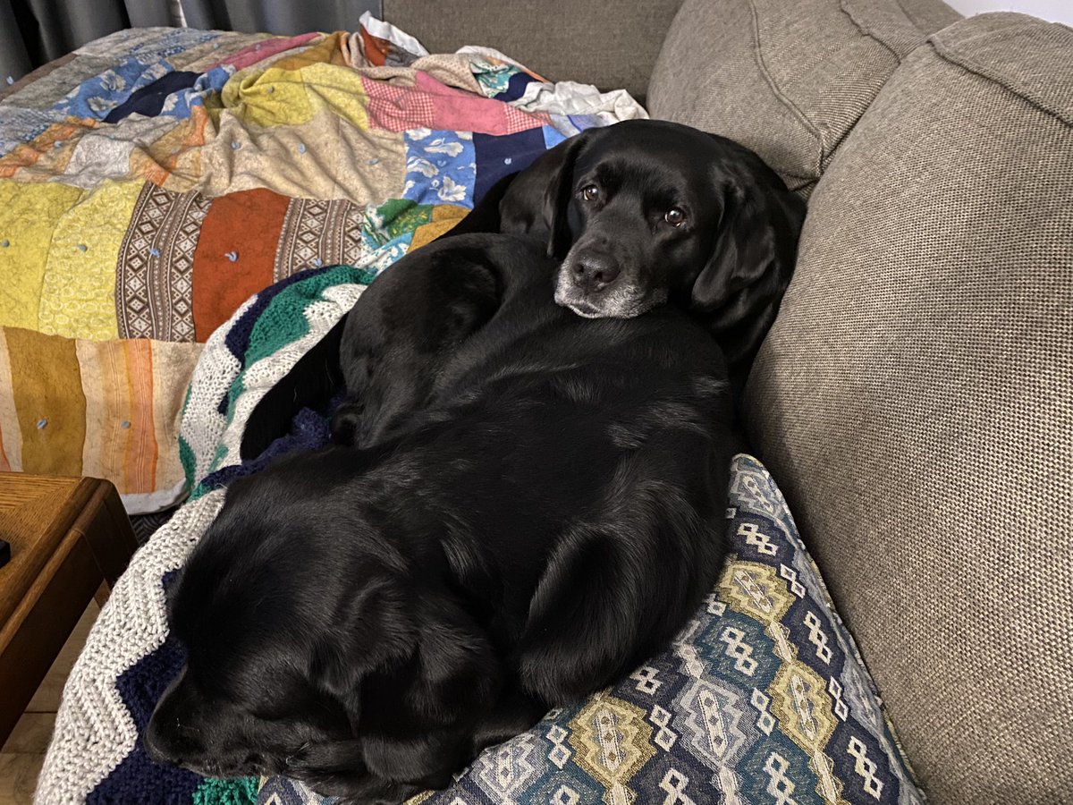 Pile of labs….