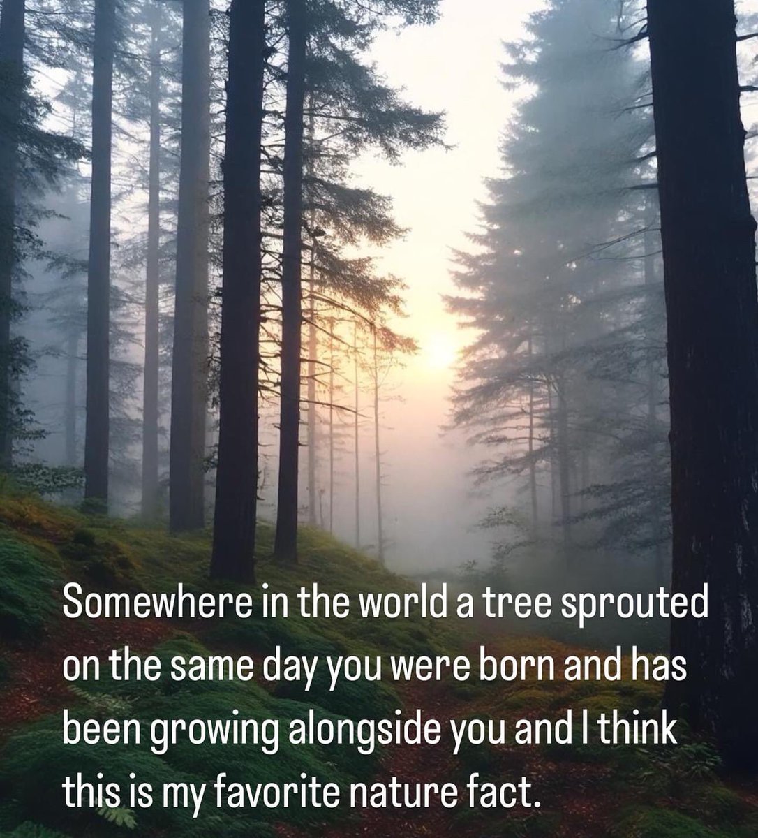 #nature #NatureConnection #NatureTherapy