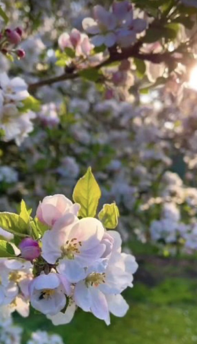 ﴿ إِنَّ اللَّهَ يُبَشِركِ ﴾ اللهم بشرنا بكل ما يُرضينا ويُرضيك عنّا