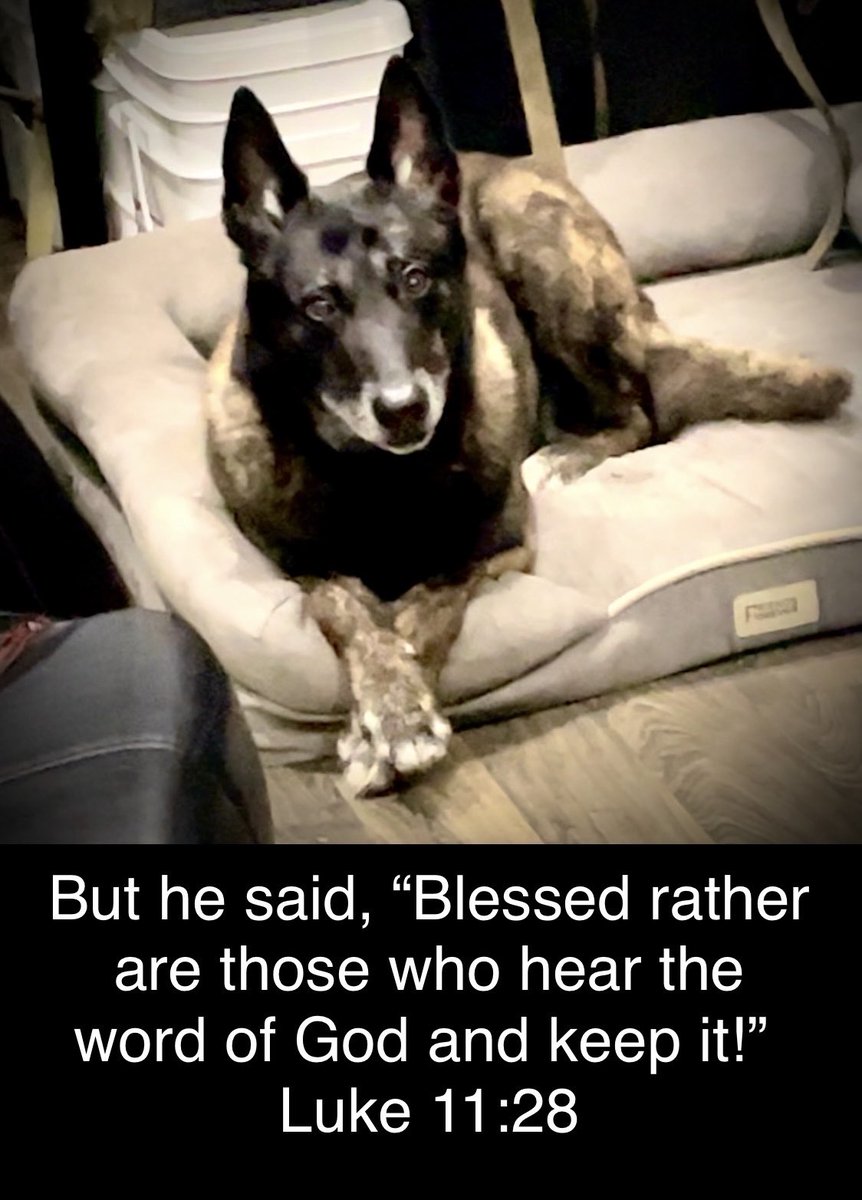 Every morning before we step out to LOOK FOR WORK, Joe listens intently to the spoken word of God. It’s a blessed part of our day. ~ Doc