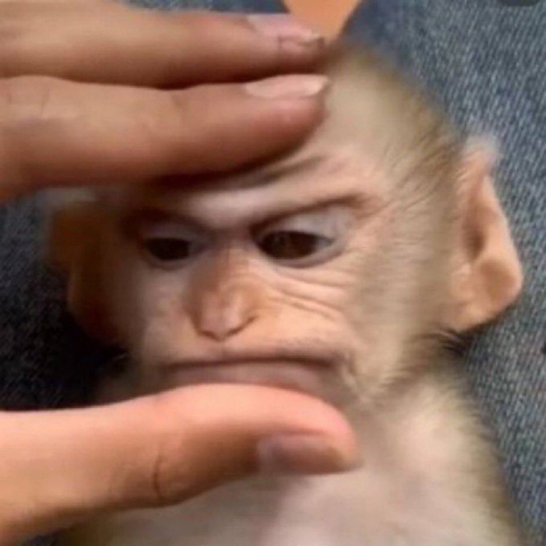 off (@httgmbt) on Twitter photo 