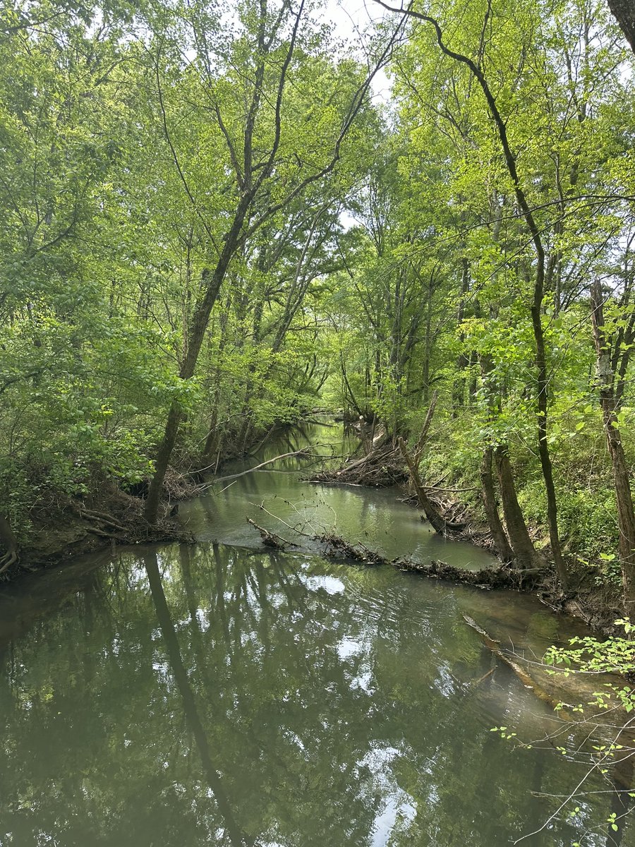 Upcoming research project: I’ll be testing the water quality of the Flint River next month. Someone from the Land Trust recommended that site. I’m open to any others AL or Southern TN locations if anyone has recommendations! #NaturalResources #research #conservation