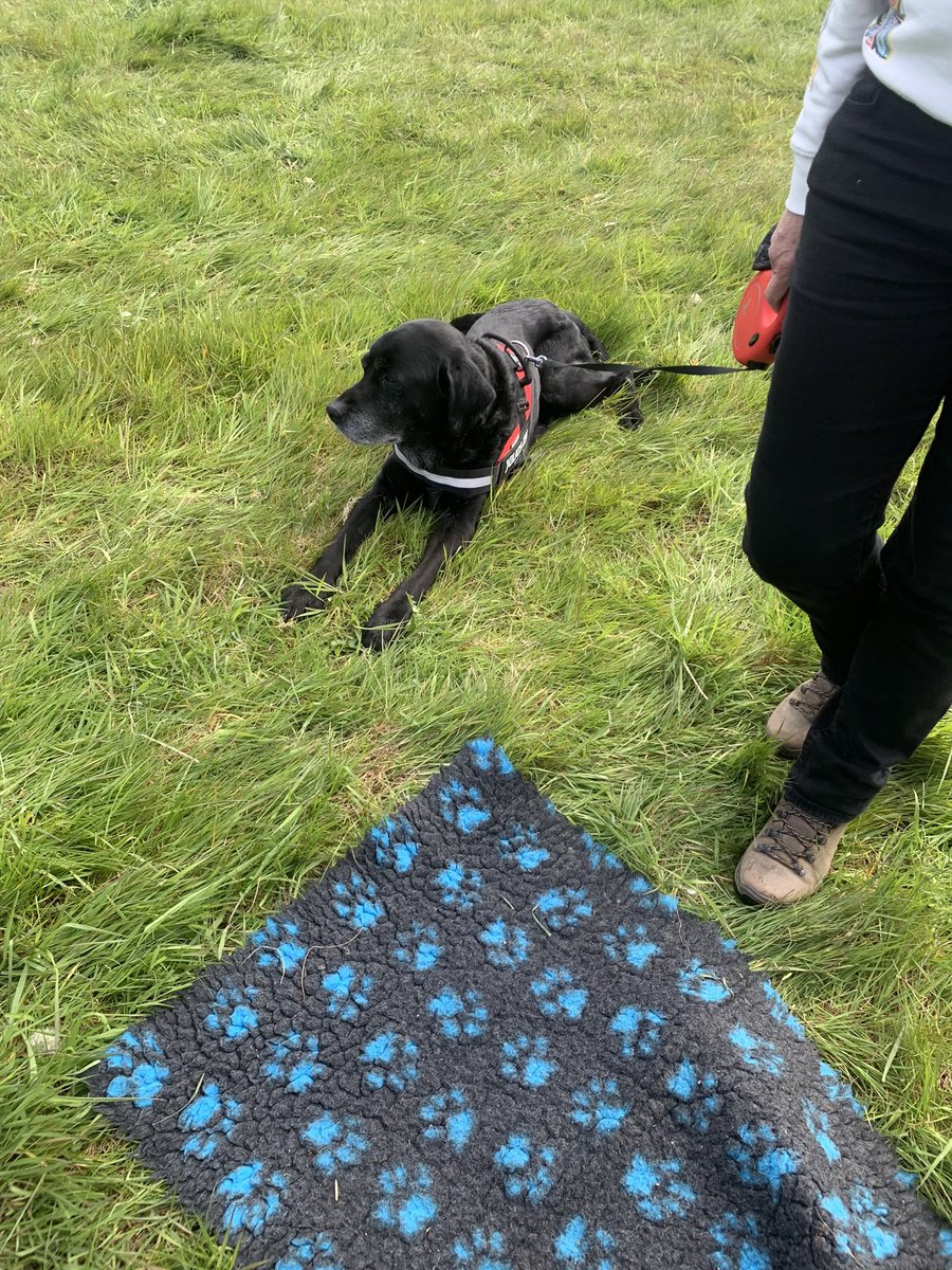 Soo many years since I have been to Chaddesley point-to-point, seems like nothing has changed 😀🐎 still can’t pick a winner 😂 fun in the sun though ☀️🕶️