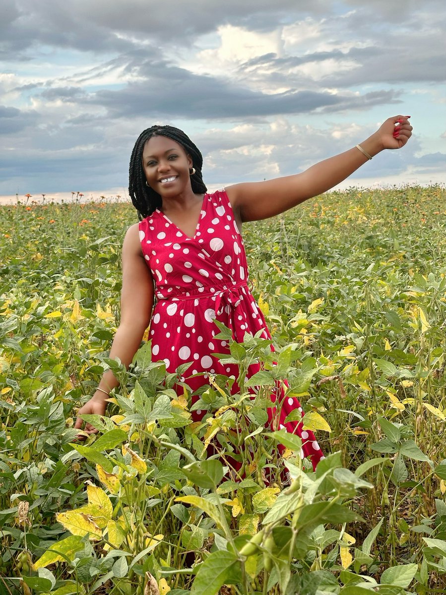 As we conclude the 2023/2024 Soybeans production season 🫛🫛