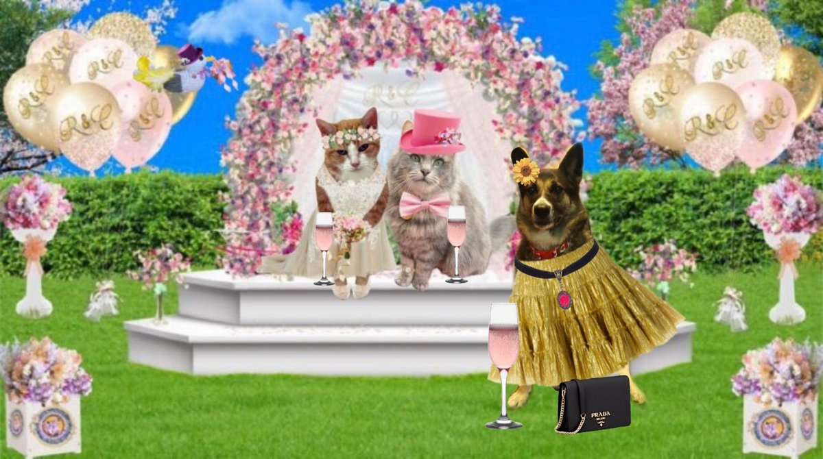 Photo with dear frens and lovely couple, #CharleyAndRosie at the #HWCafe reception! I brought them some champers! They must be parched! 💜🌻🥰🥰🥂🥳