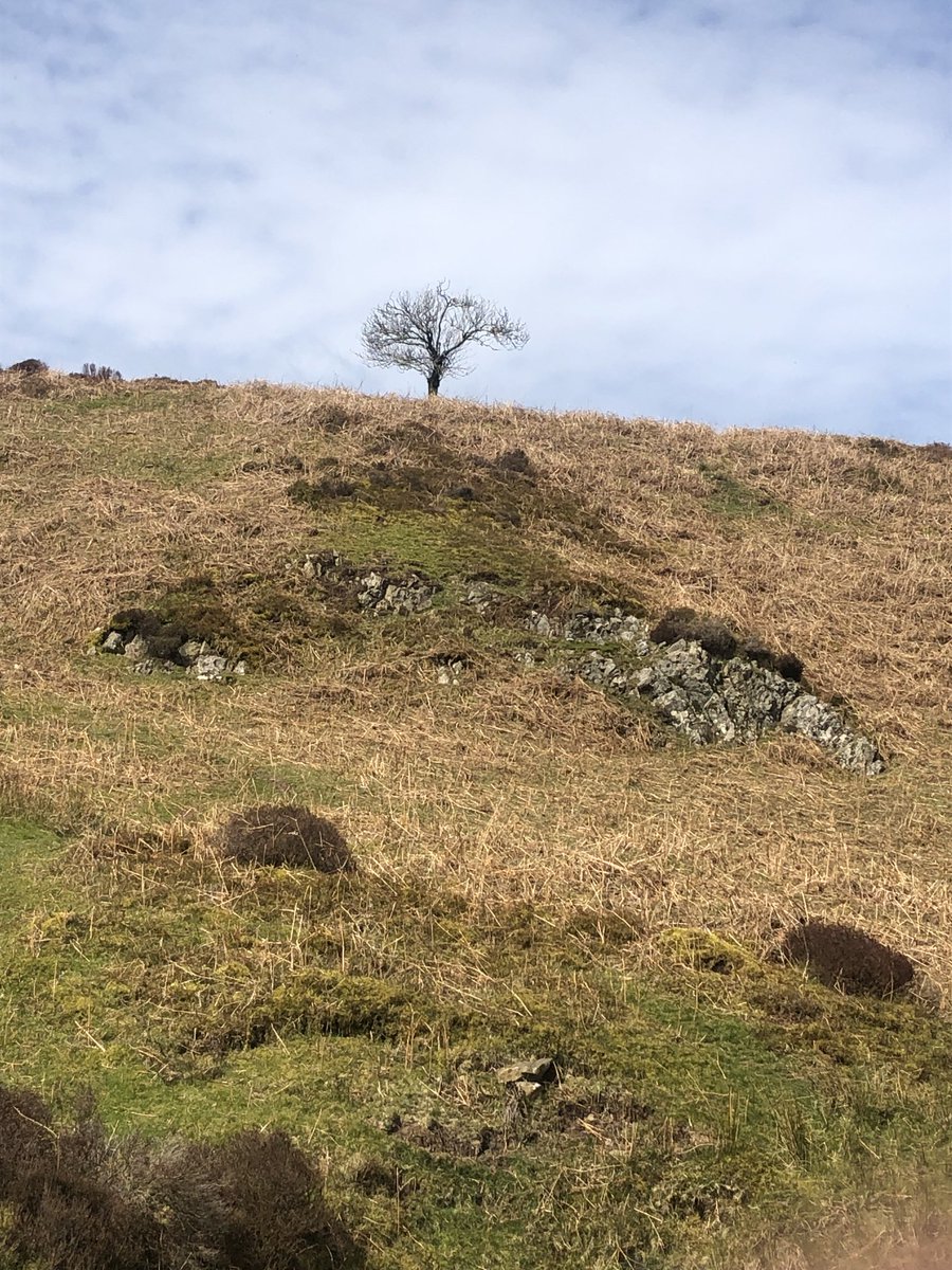 It’s the time of year. For the last 25 years friends from the 1970s ⁦@UniofExeter⁩ Out of Doors Society have been meeting. This year we are in Church Stretton. Today we have been #hiking on the Long Mynd #Shropshire