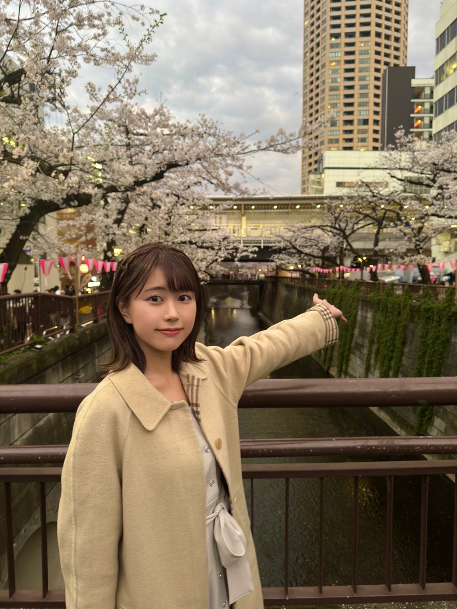 『News Access』の放送の後に目黒川沿いの桜を見にいった時の写真！！！🌸

#桜 #学生キャスター #BS朝日