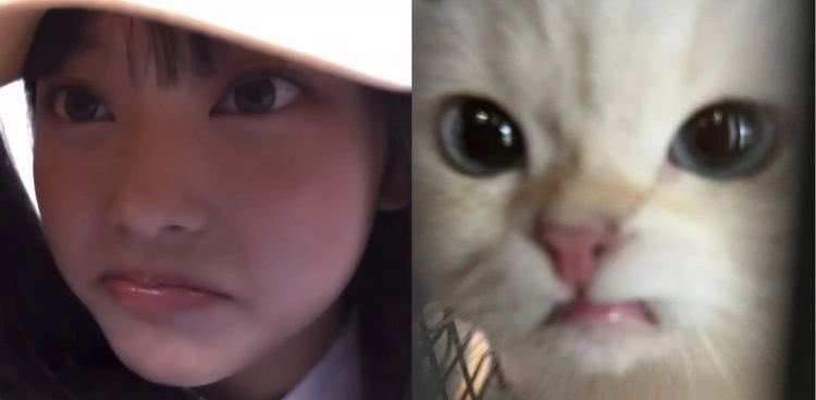 S1lenceRuby's tweet photo. #ลาลับขอบฟ้าชาวศิริลดา

( สวัสดีค่ะแม่น้องรูบี้นะคะ  ขอบคุณมูนี้ที่สามารถเช่นน้องที่มีปัญหาพิการทางการได้ยิน ทำให้กำเนิดรูบี้ขึ้นมา  ขอบคุณมูมากๆที่เ��็นพื้นที่ให้น้องได้วิ่งเล่นเยอะทีเดียว  ทั้งนี้ใครอยากแลกโม่งสามารถกดเฟบได้เลยนะคะเดี๋ยวก๊อกๆไปหา  ส่วนรูบี้หลังจากนี้ + https://t.co/3mTR9hJEuE