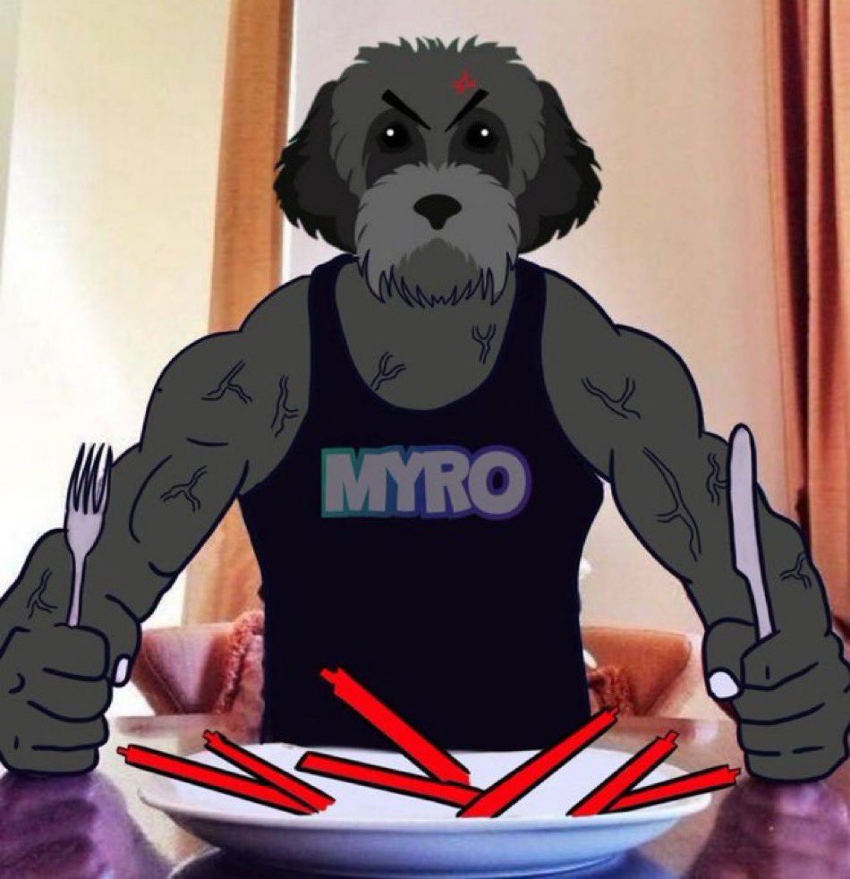 labonsolana's tweet photo. Daily reminder ☕️

$MYRO will be one of the best performing assets on Solana this bull cycle. Plan accordingly.

NEVER FADE THE GOOD BOY 🐕‍🦺

@MyroSOL https://t.co/M9q0MrChTN