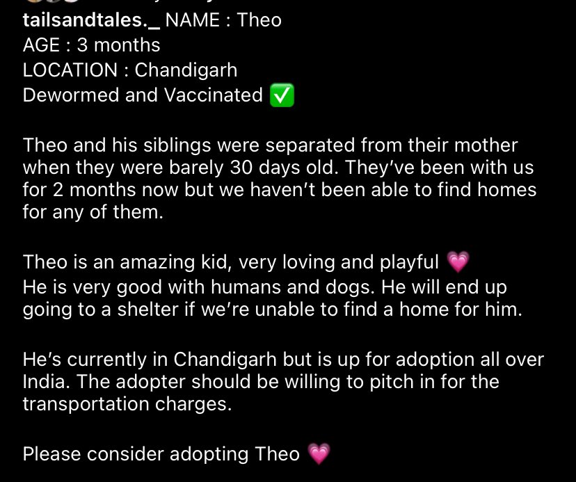 #Chandigarh #India #Tricity #DelhiNCR So much hope in those adorable eyes and no place to go 😞💔 This is an urgent adoption appeal for these pups. I’ve attached both their bios, pls consider adopting them, if you can’t adopt, pls share this post so it reaches potential adopters