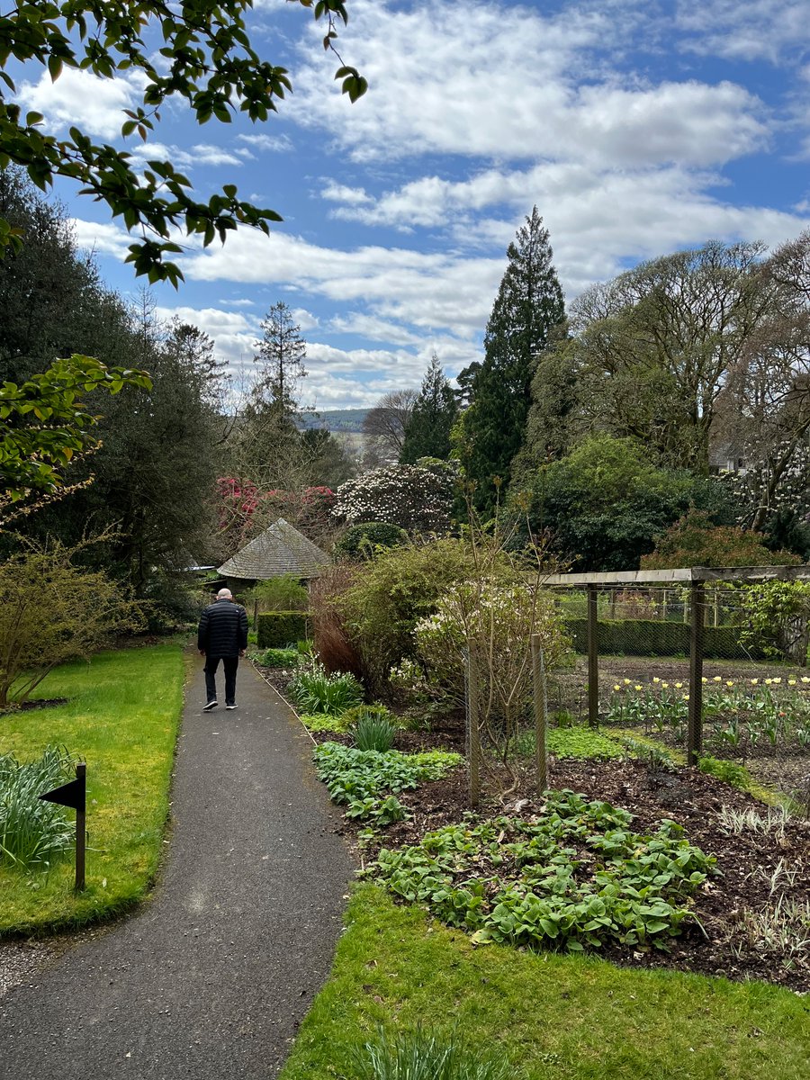 WdcLocal's tweet image. Lovely afternoon at Glenarn, so peaceful and colourful.