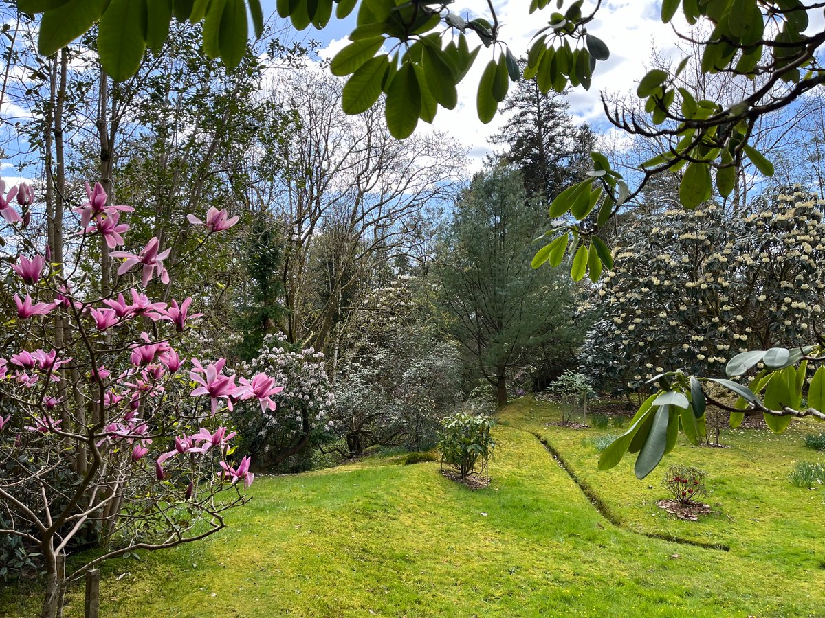 WdcLocal's tweet image. Lovely afternoon at Glenarn, so peaceful and colourful.