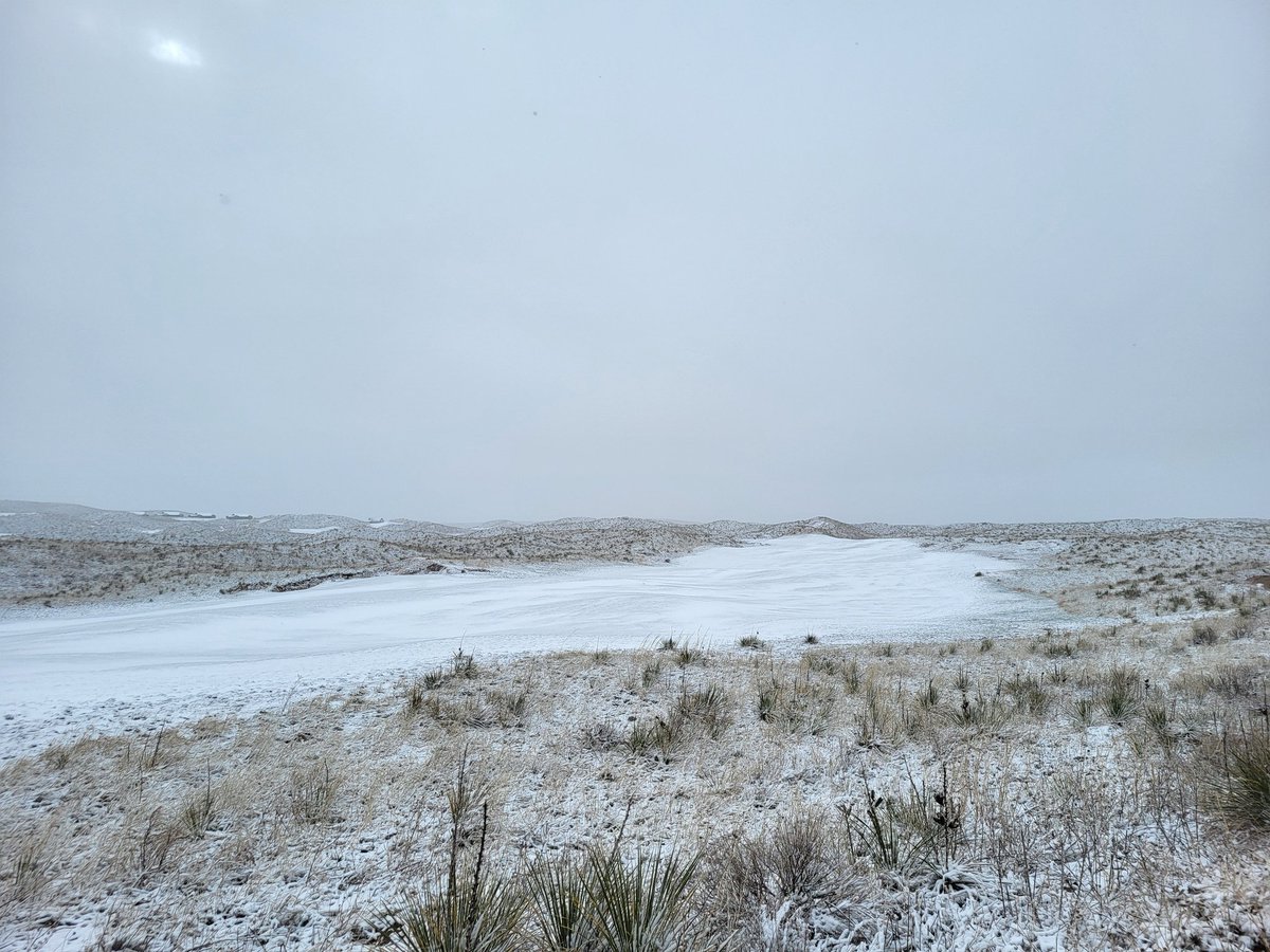 Cordlwalker's tweet image. ❄️❄️