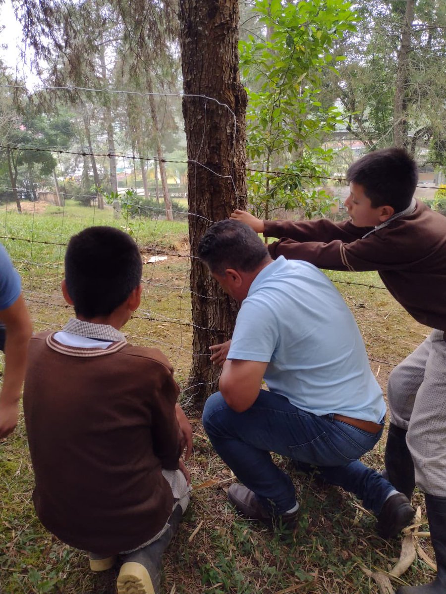 🎉 ¡Gran noticia para la comunidad de Agua Zarca, en Querétaro 🐑 Los estudiantes ganadería de la Escuela Sec. Técnica No. 31 'Julia Alicia Álvarez Covarrubias' están de celebración. Gracias al apoyo de la asociación civil @PertenecesAC nuestros futuros ganaderos han recibido