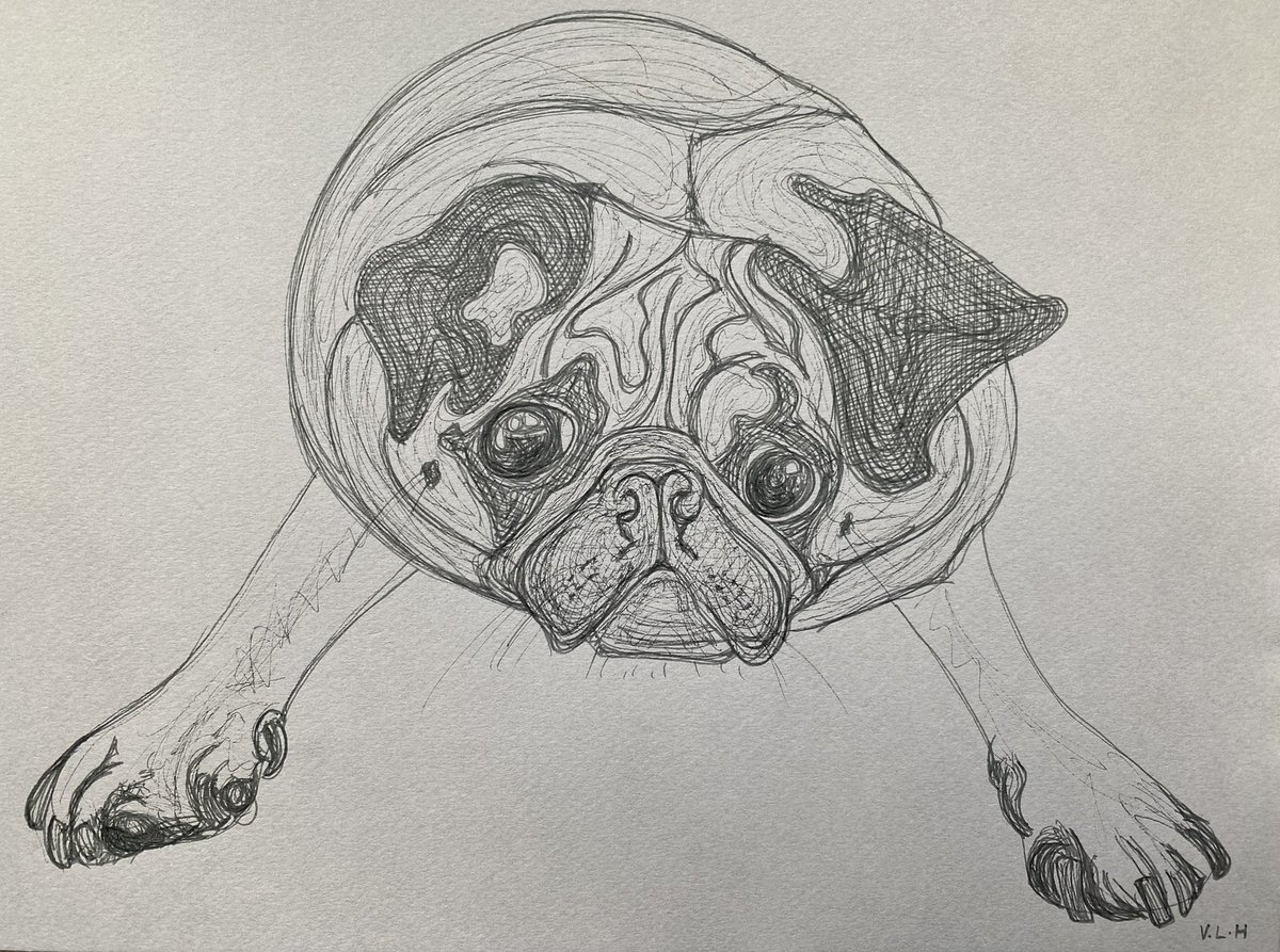 ‘Seal Pup’ Grey ink on grey paper. #Pugs #ArtTherapy