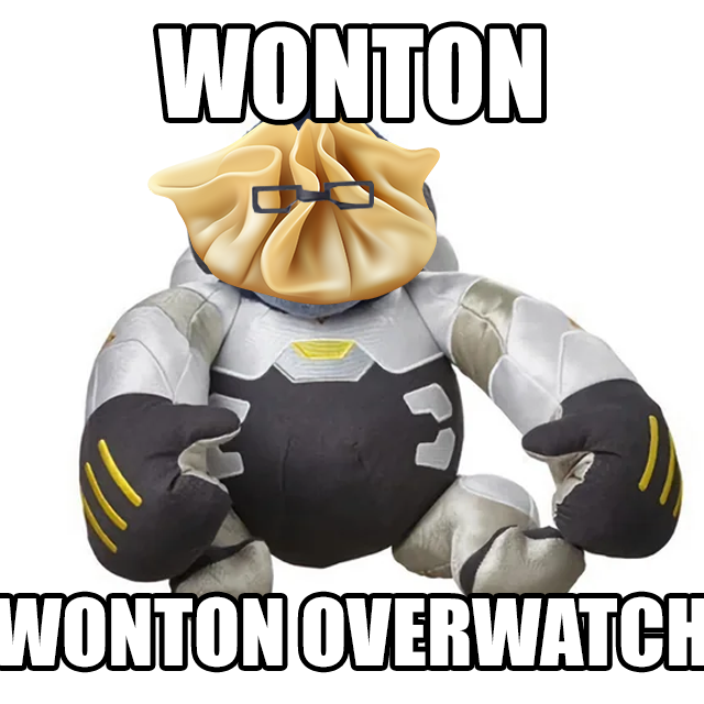 NyanSpam's tweet photo. Wonton Overwatch https://t.co/tEvxf9WJyA