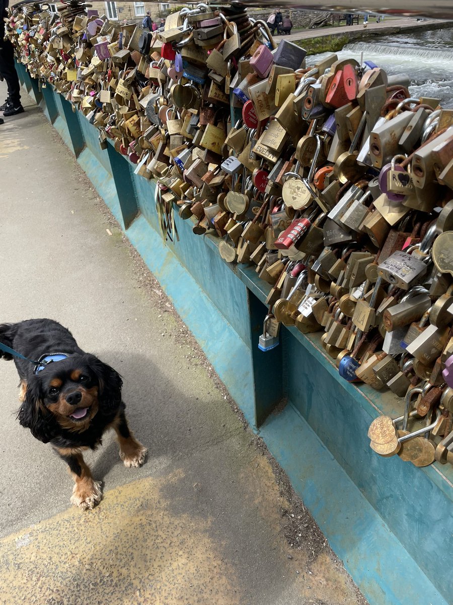 On hollibob in the Peak District to walk the Monsal Trail. No 3 is 1 of the bridges I will go over. Today we went for a wander around Tideswell to see the Cathedral of the Peaks then to Bakewell for real B. Tart but crossed this bridge full of locks first ❤️#Dash’swalkingtour ❣️