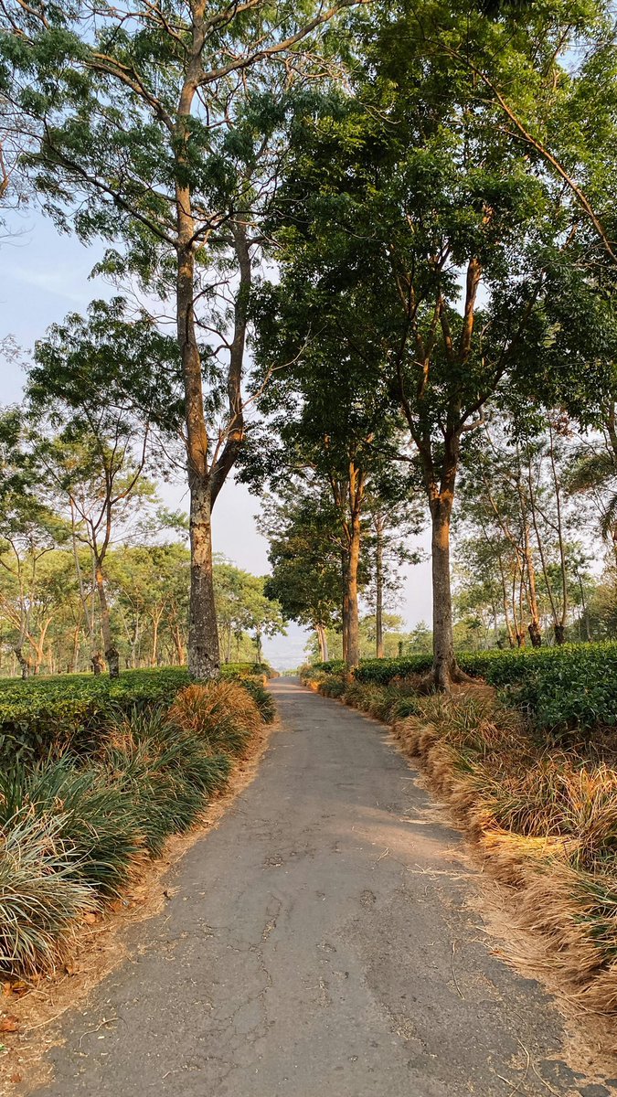 Steve58815862's tweet image. Good afternoon everyone 💚
#20April #saturdayvibes #saturday #weekendvibes #beauty #beautiful #nature #GoodAfternoon