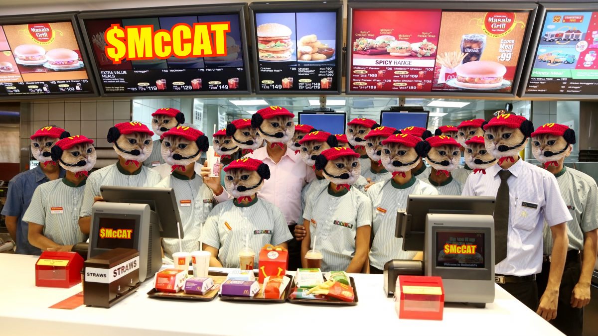 $McCAT familee is growing fast! Everyone is welcome 🫵😻 #McCAT = #solana #memecoin 🌍🚀 #fastfood #caturday 🐈🍟