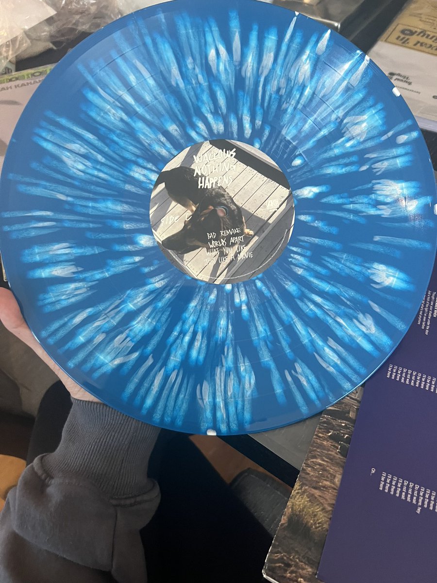 I’m obsessed with this wallows rsd pressing