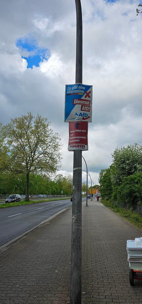 Sei schlau - wähl grau! 

#Salzgitter #nonazis 
#Europawahl #noafd