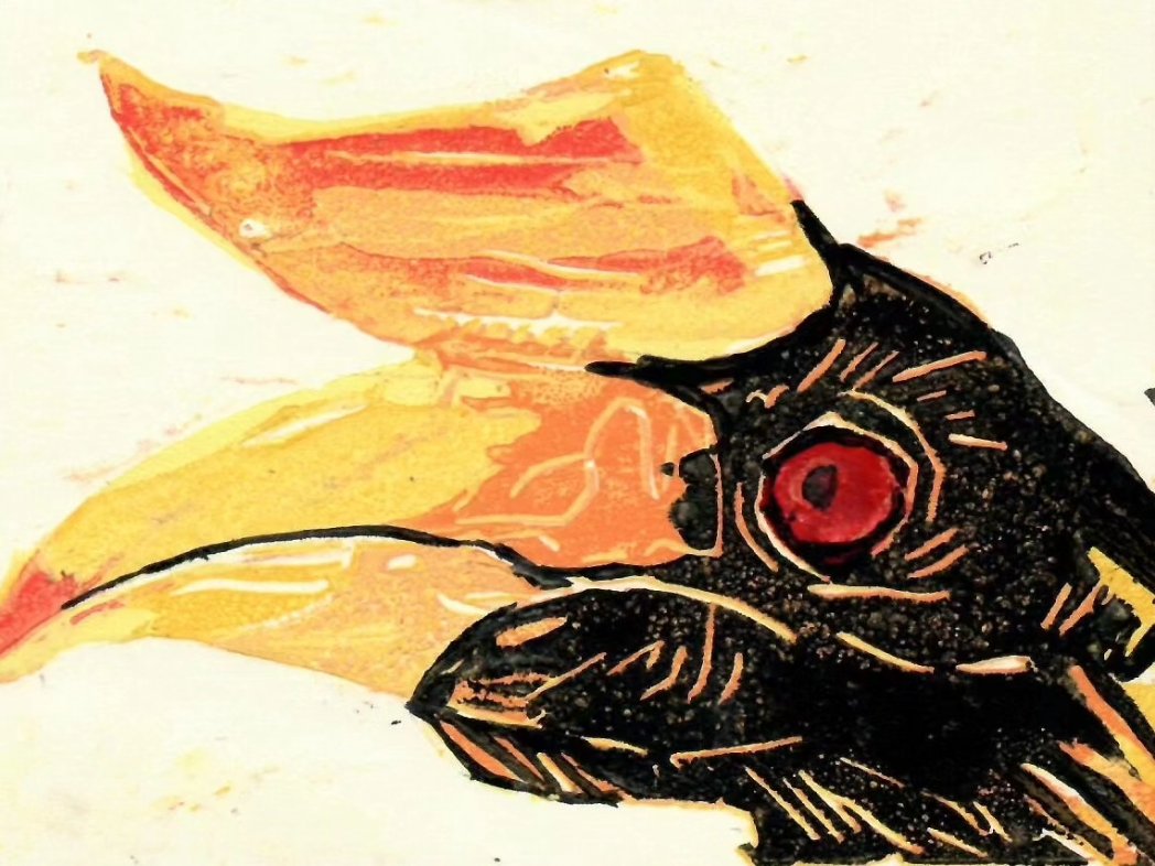 World Book Night, In Praise of Birds. Bower Ashton Library of UWE City Campus.