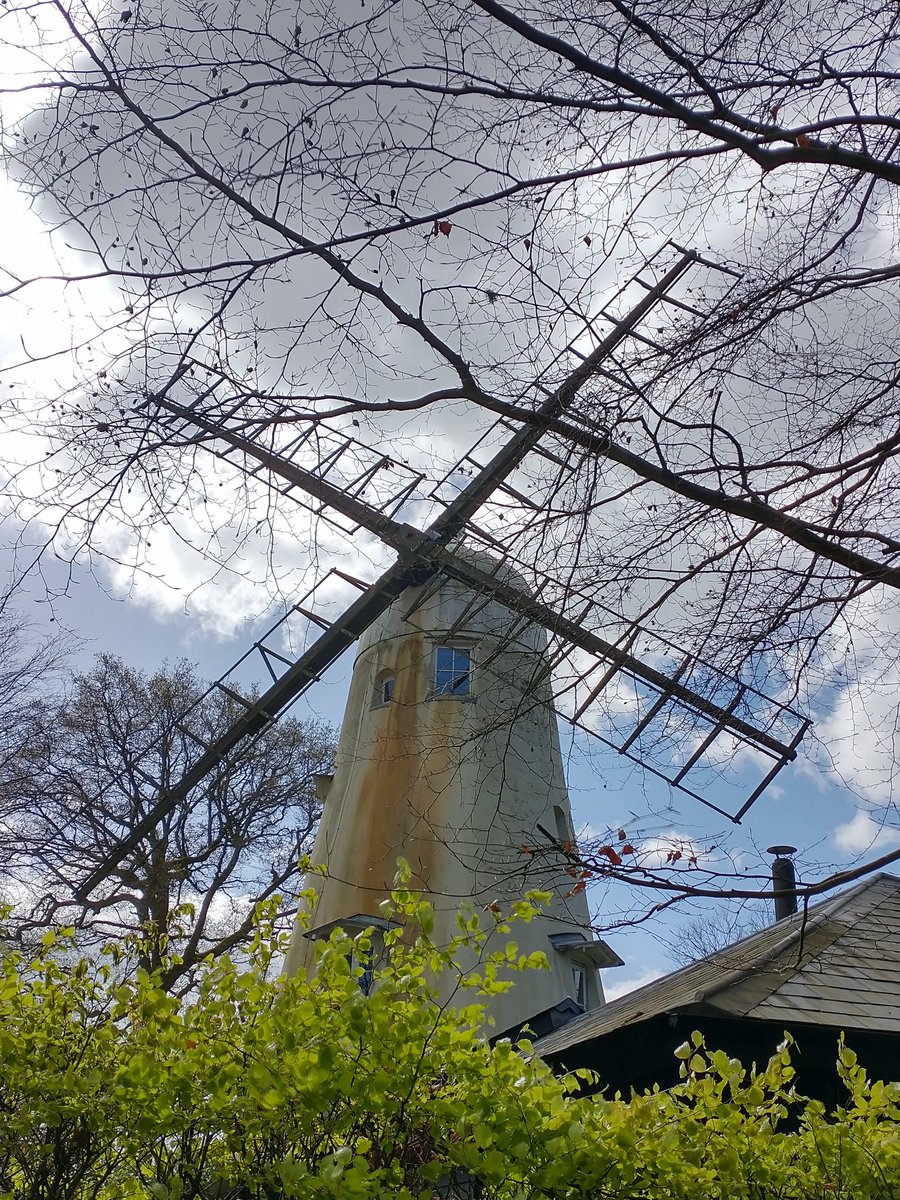 Highlights from today's 18-mile walk along the Greensand Way from Shamley Green to Dorking. Passed 'Plonk Farm'; a windmill; Hurtwood; Pitch, Holmbury and Leith Hills, with Leith Tower; and the Glory Wood. Lovely sunny mudfree day. #inspiringviews @nationaltrust #greensandway