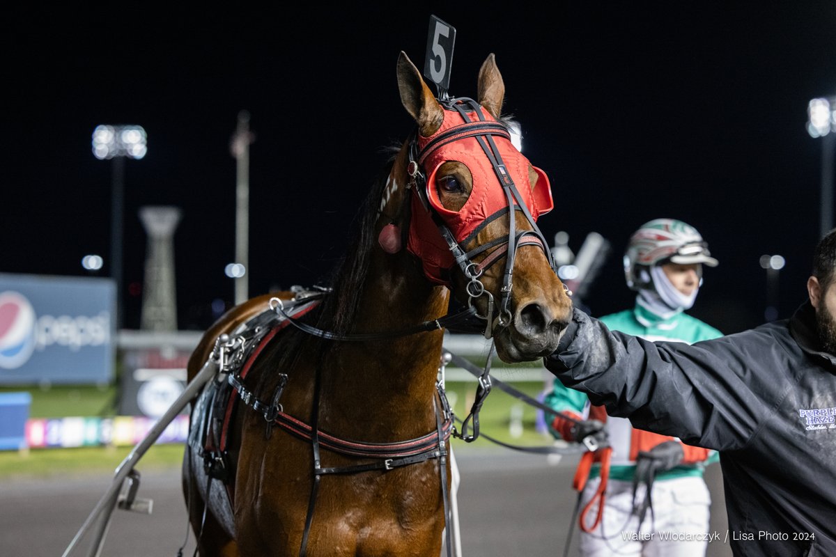 Miss Chantilly N scored a sharp victory last Saturday at @TheMeadowlands for @StrattonStable @LisaPhotoM1