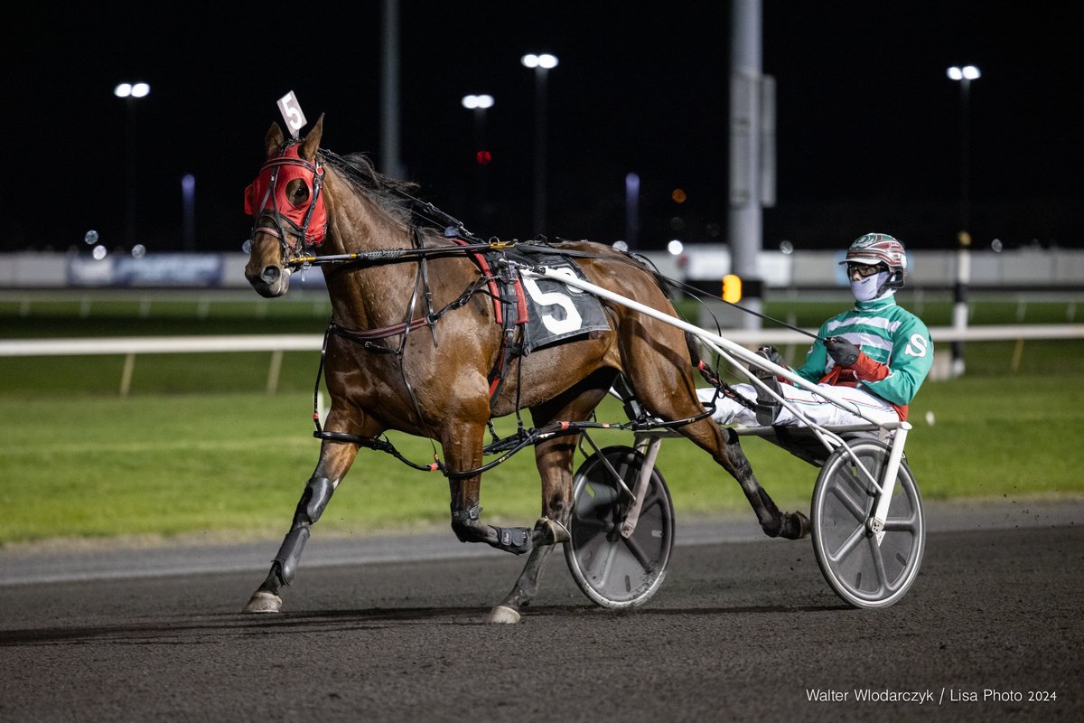 wlodarczyk's tweet photo. Miss Chantilly N scored a sharp victory last Saturday at @TheMeadowlands for @StrattonStable @LisaPhotoM1 https://t.co/9YT99ZSVSw
